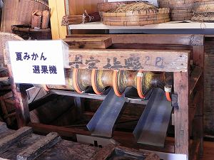 s-20111019 yamaguchi (14).jpg